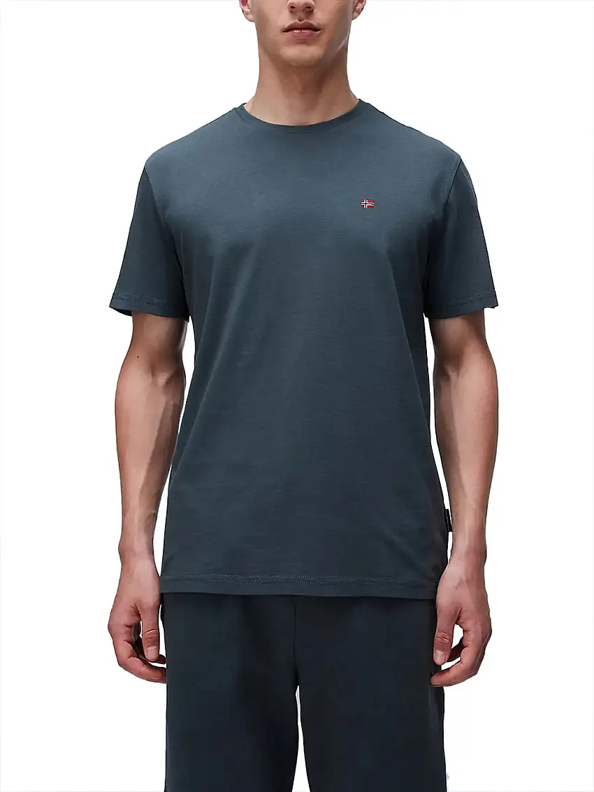 T-shirt Napapijri Salis da Uomo - Verde