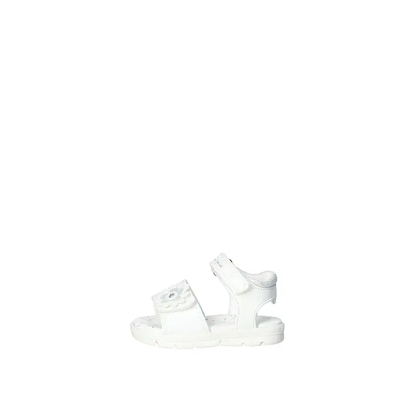 Sandalo Bimba Lumberjack Junior SG78406-018